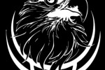 Naklejka uniwersalna PVC "Head of the Eagle"