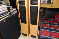 Kolumny T+A Criterion TB140 2x220Wat Top Hi-END