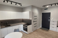 Apartament w Centrum, Garaż, Taras, wyposażenie