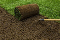 Zakładanie trawników, pielęgnacja ogrodów.