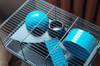 Nowa klatką dla chomika czy innego gryzonia.