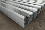 TRAPEZ II Gatunek w ocynku