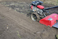 Glebogryzarka wynajem lub usługi ogrodnicze