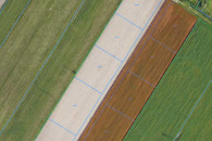 Wiechucice - działki budowlane