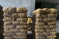 Zatrudnię mężczyznę w gospodarstwie rolnym