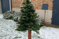 Choinka wraz z ozdobami (63 szt.)