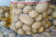 Ziemniaki Soraya i Werbena