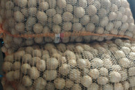 Ziemniaki Riviera kal 3,5-4cm świeże