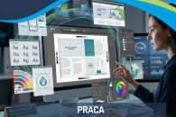 Graphic Designer (DTP & Digital)