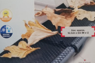 Siatka ochronna na rynnę 6m rynny