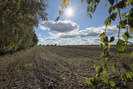 Działka