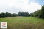 Działka z niewielkim laskiem 48ar Zduńska Wola