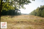Interesująca działka z WZ, 3000m2, Zborowskie