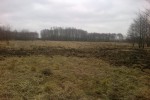 Działka rolno-budowlana 1,6h