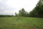 Działka rolno - budowlana 9800 m2