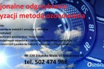 Odgrzybianie klimatyzacji Samochodowych