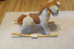 Konik na biegunach
