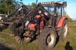 Farmer 10244 + tur