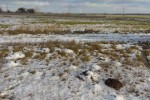 Działki budowlane