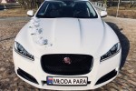 Samochód do ślubu - JAGUAR XF