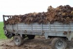 Rozrzutnik obornika Carna Białostocka, nowy typ